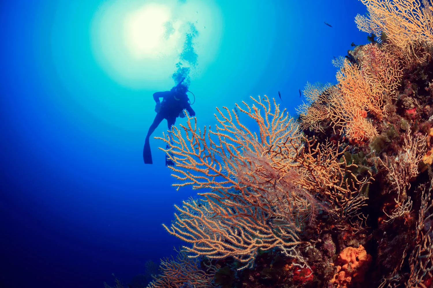 Ilhas Fiji no Kokomo Private Island Resort